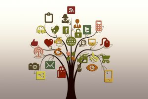 idx wordpress plugins